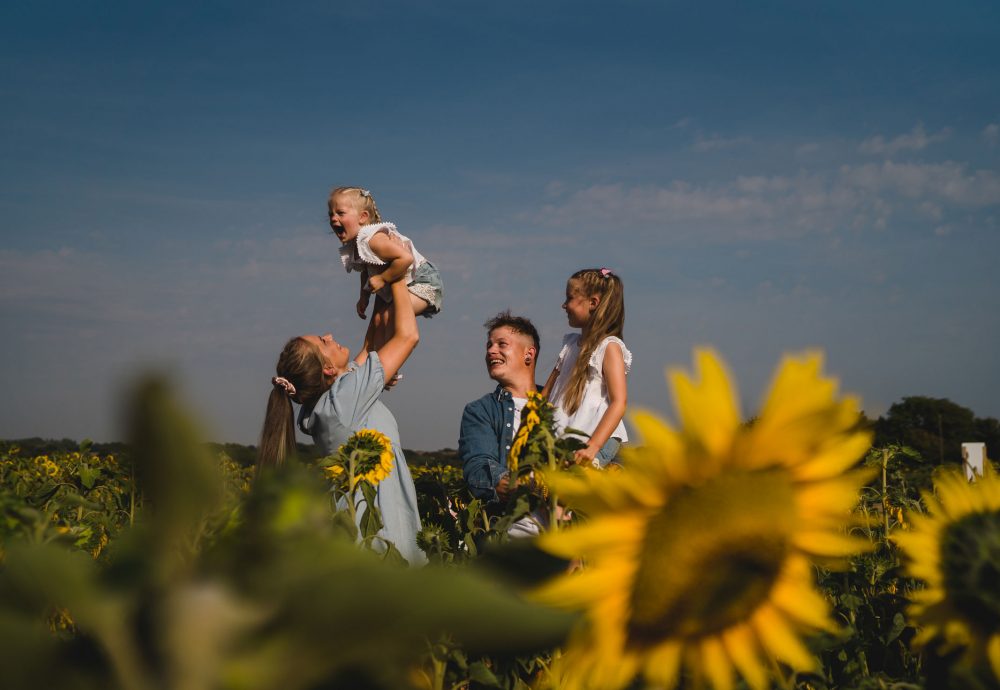 Sunflower photography Winchester