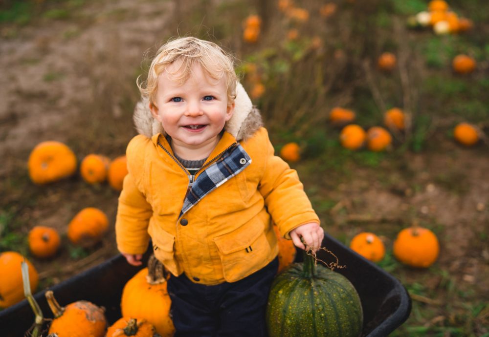 Pumpkin Photographer Hampshire